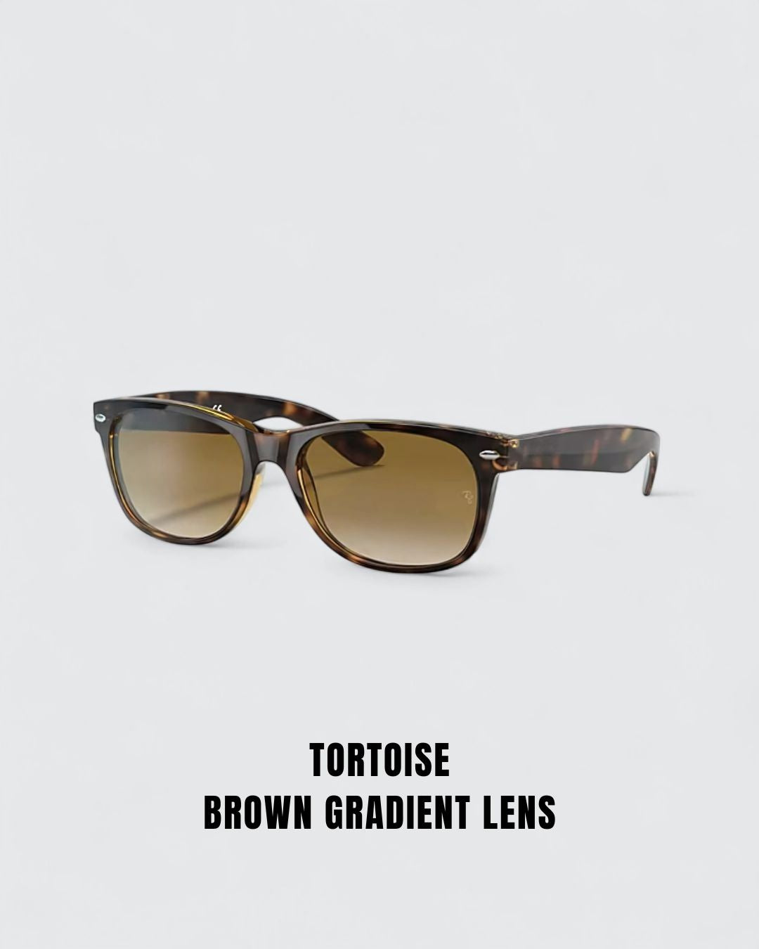 RB2132 SUNGLASSES